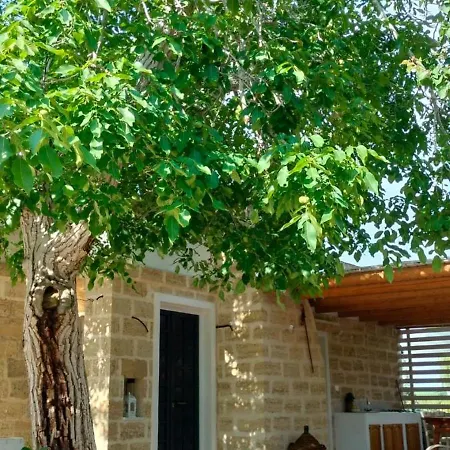 Gallipoli Salento Antica Dimora Di Fine Ottocento In Campagna Villa
