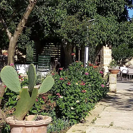 Gallipoli Salento Antica Dimora Con Piscina Ad Uso Esclusivo *