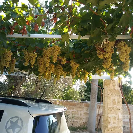 Gallipoli Salento Antica Dimora Di Fine Ottocento In Campagna * Parabita
