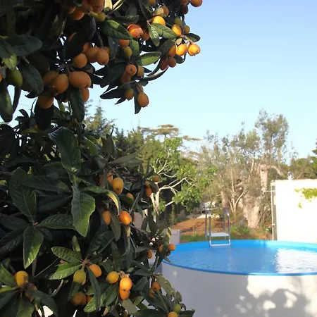 Villa Gallipoli Salento Antica Dimora Con Piscina Ad Uso Esclusivo *